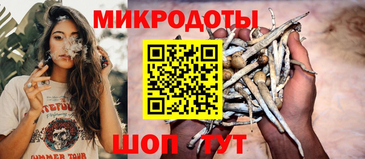 Галлюциногенные грибы мухоморы Калач-на-Дону