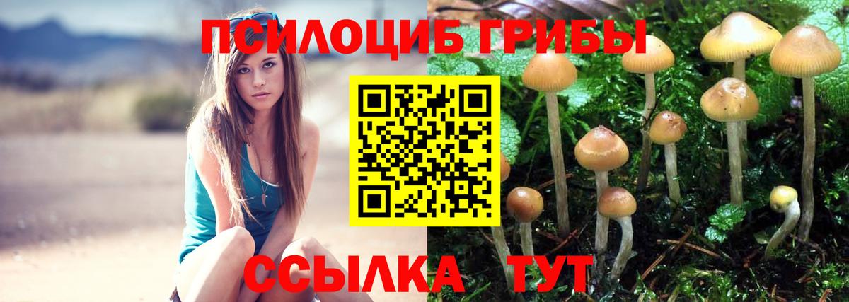 как найти наркотики  Вход с VPN  Псилоцибиновые грибы Psilocybe  Калач-на-Дону  Псилоцибиновые грибы прущие грибы 